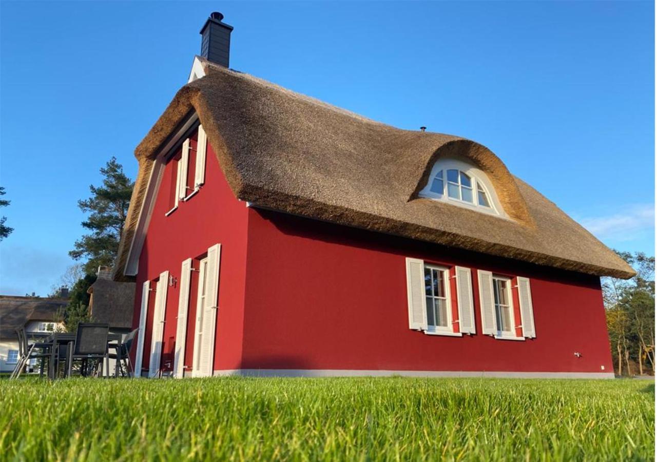 Modernes Reetdach-Ostseeferienhaus Bella Mare, Insel Usedom Mit Sauna, Kamin & Sonnenterrasse Zirchow Dış mekan fotoğraf