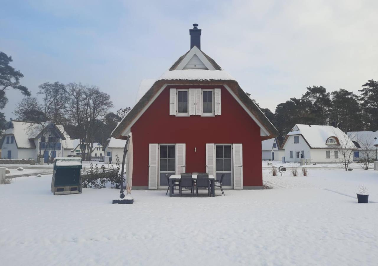 Modernes Reetdach-Ostseeferienhaus Bella Mare, Insel Usedom Mit Sauna, Kamin & Sonnenterrasse Zirchow Dış mekan fotoğraf